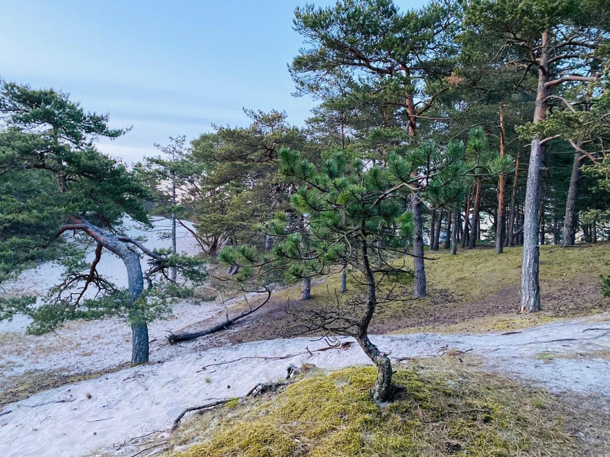 Villa Siedlisko Wytowno Ustka Exterior foto